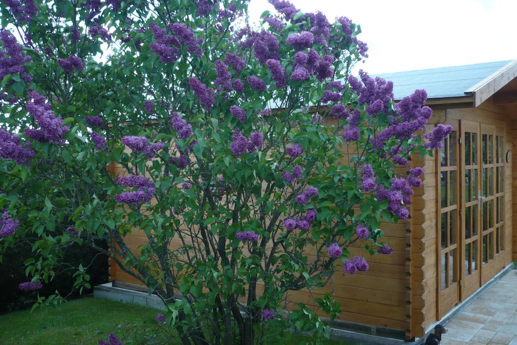 Pension-Jakobs Nachtsheim Екстер'єр фото